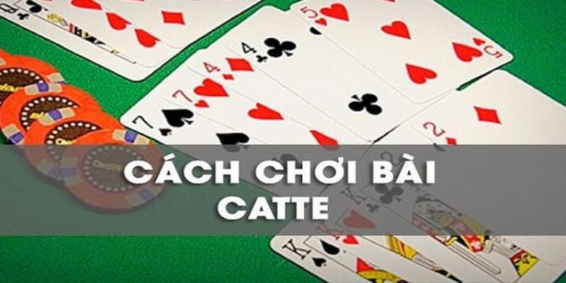 Hướng dẫn cách chơi cho newbie