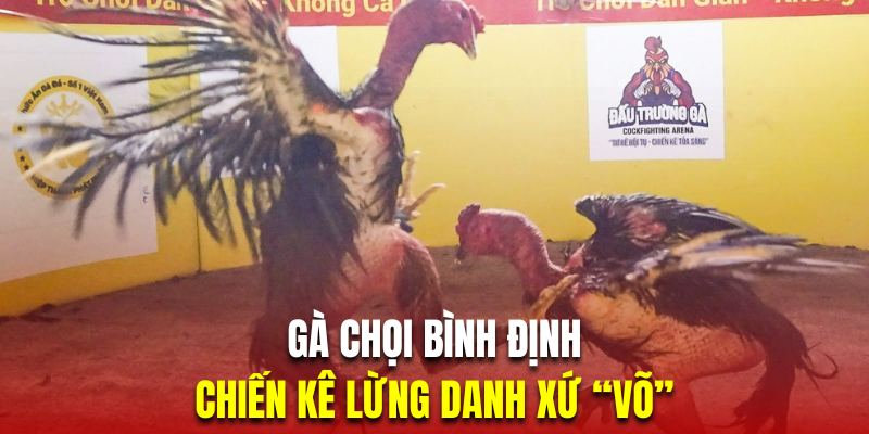 Gà chọi Bình Định